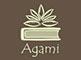 Agami Education Foundation (AEF)