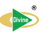 Divine Group Limited