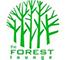 The Forest Lounge Ltd