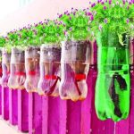 Bottle Garden