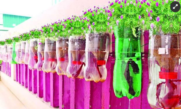 Bottle Garden