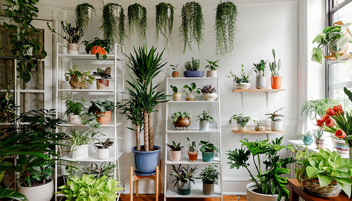 Garden in Balcony