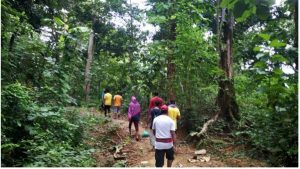 pablakhali forest